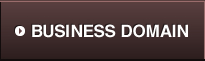 BUSINESS DOMAIN