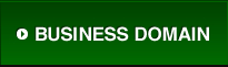 BUSINESS DOMAIN